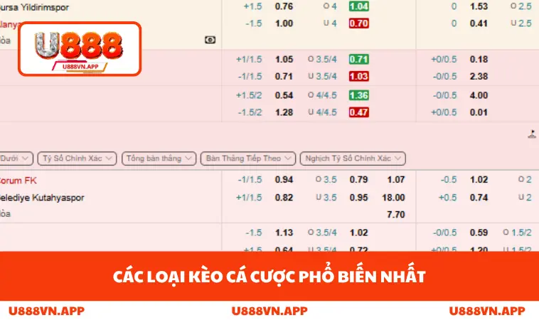 Thể Thao U888 3 Các loại kèo cá cược phổ biến nhất