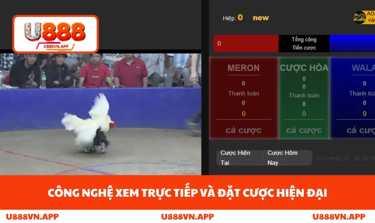 Đá Gà U888 3 Công nghệ xem trực tiếp và đặt cược hiện đại