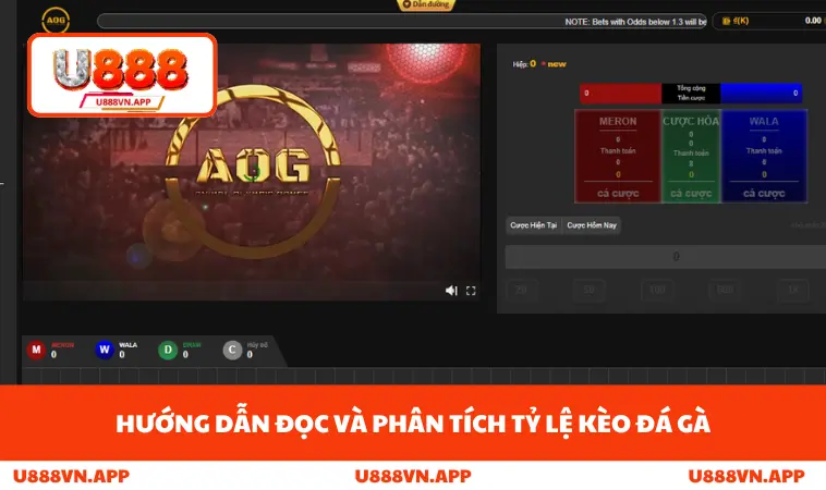 Đá Gà U888 2 Hướng dẫn đọc và phân tích tỷ lệ kèo đá gà