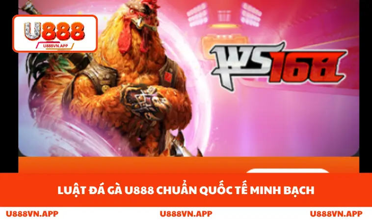 Đá Gà U888 1 Luật đá gà U888 chuẩn quốc tế minh bạch